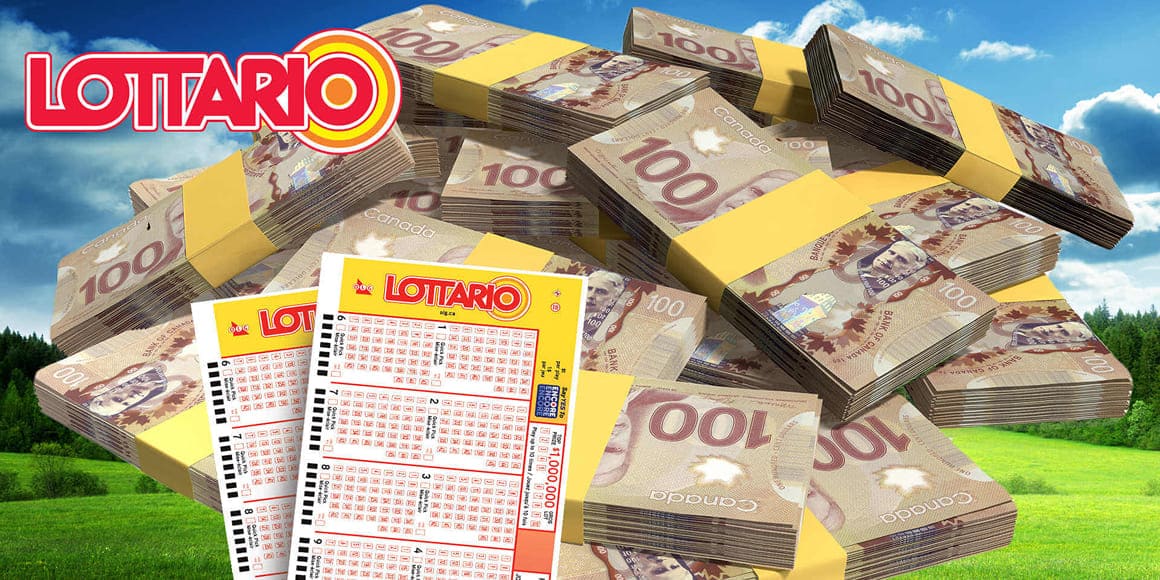Lottario — highlight